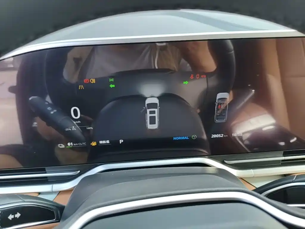 Maxus Dajia 9 — миниатюра 12