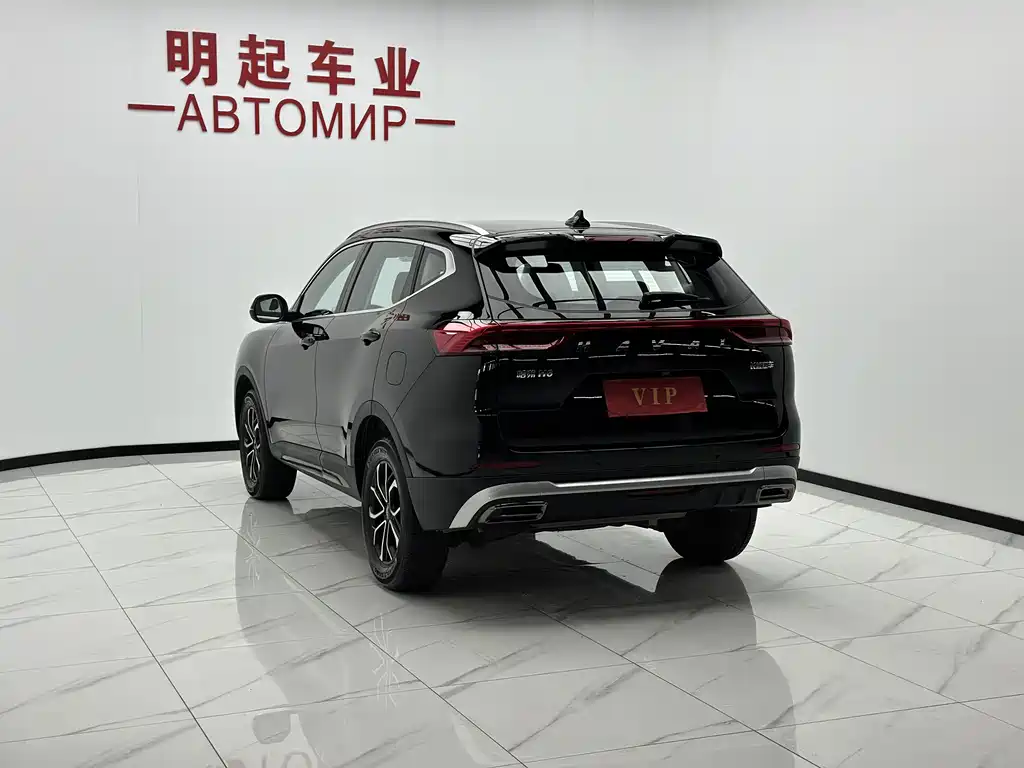 Haval H6 — миниатюра 8