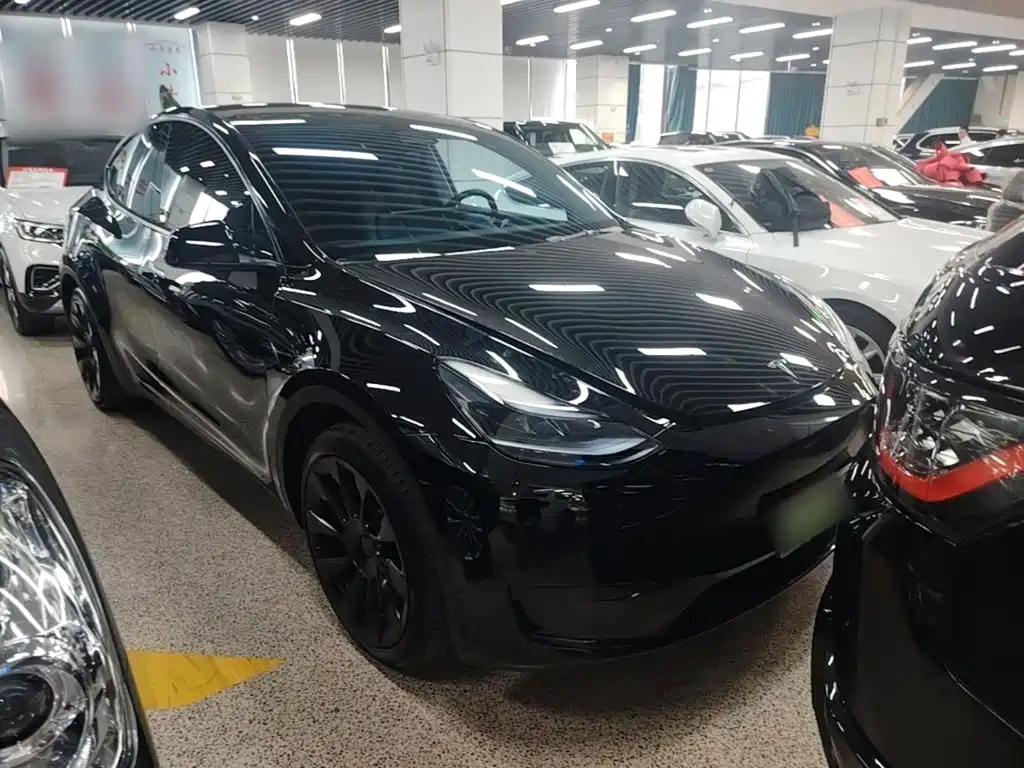 Tesla Model Y — миниатюра 4