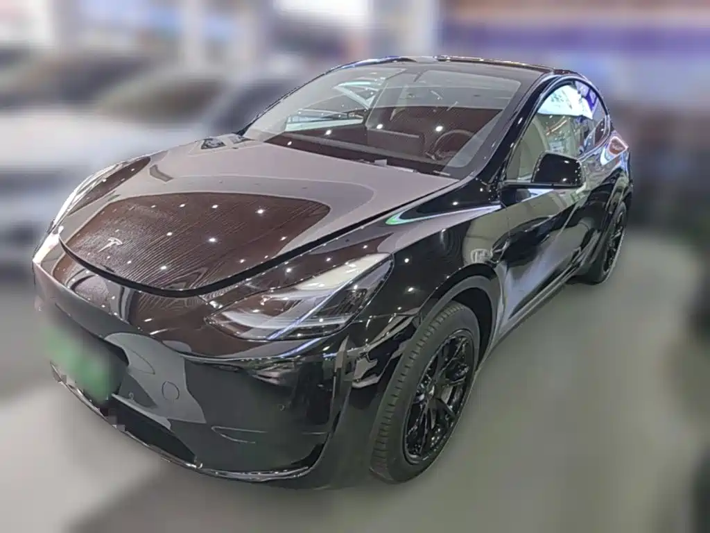 Tesla Model Y — миниатюра 3