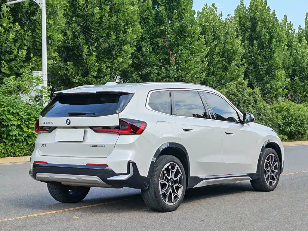BMW X1 — миниатюра 10