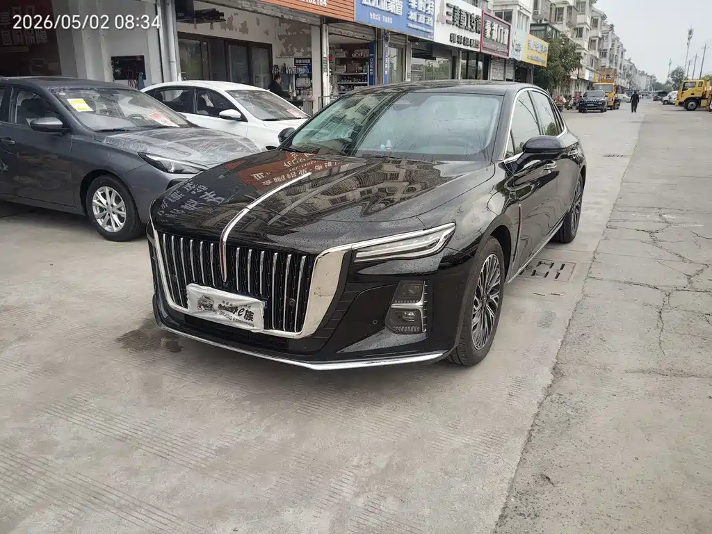 Hongqi H5 2024 2.0T AT
