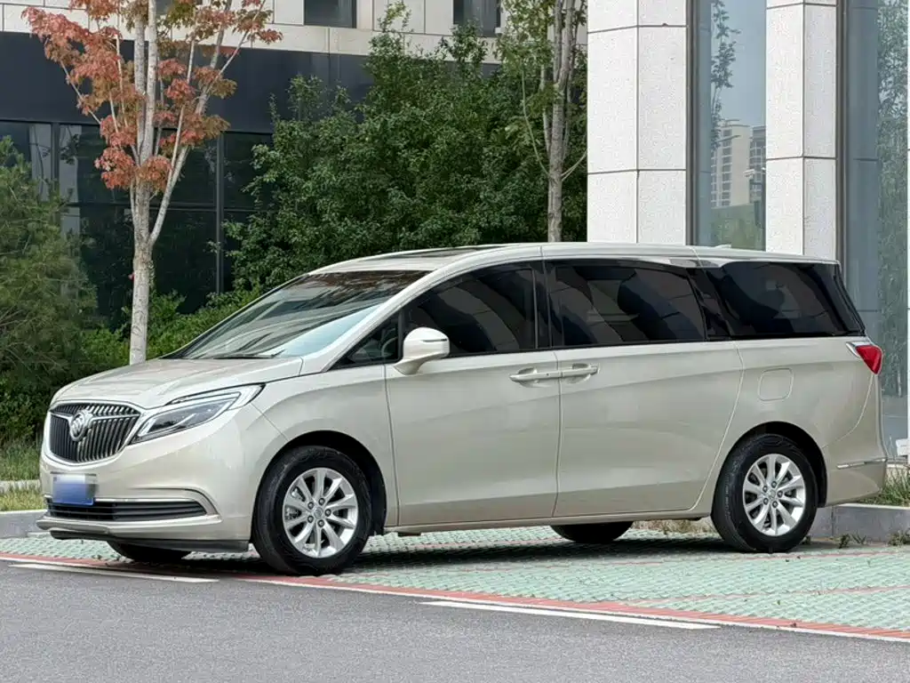 Buick GL8 — миниатюра 13