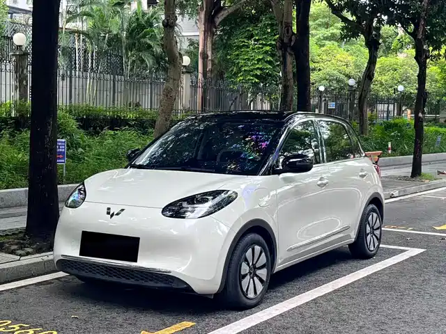 2024 Wuling Motors Binguo