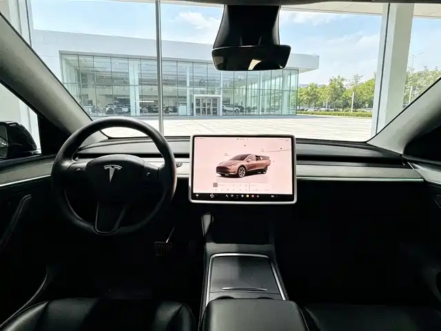 Tesla Model Y — миниатюра 8