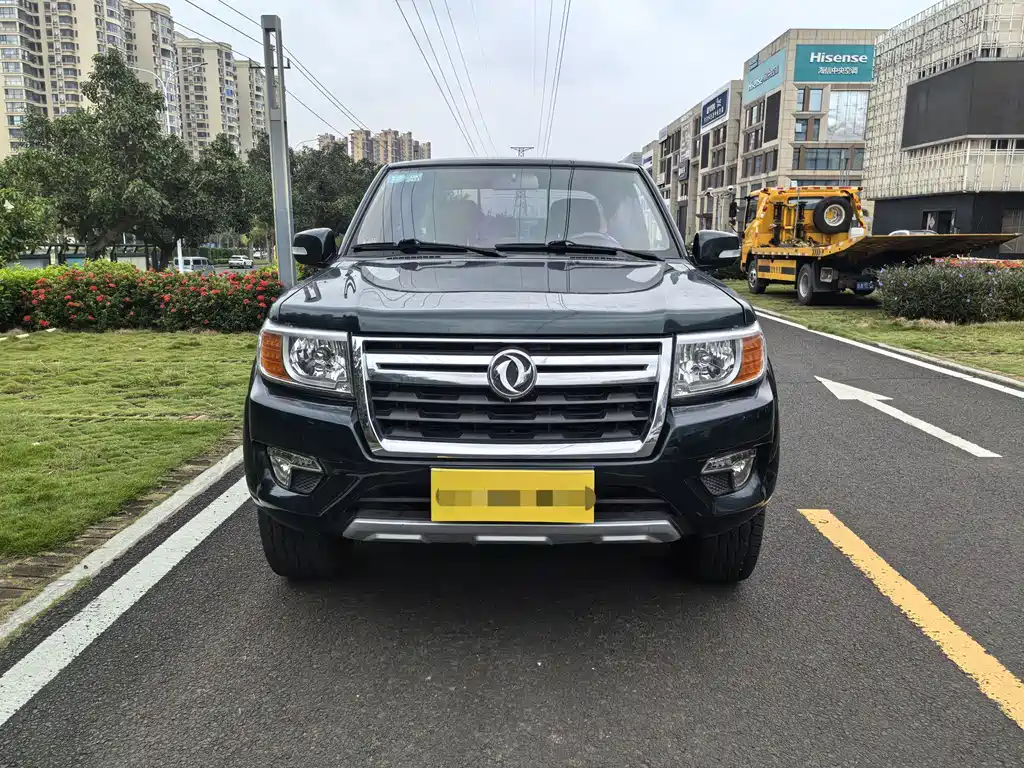 Dongfeng Rich — миниатюра 2