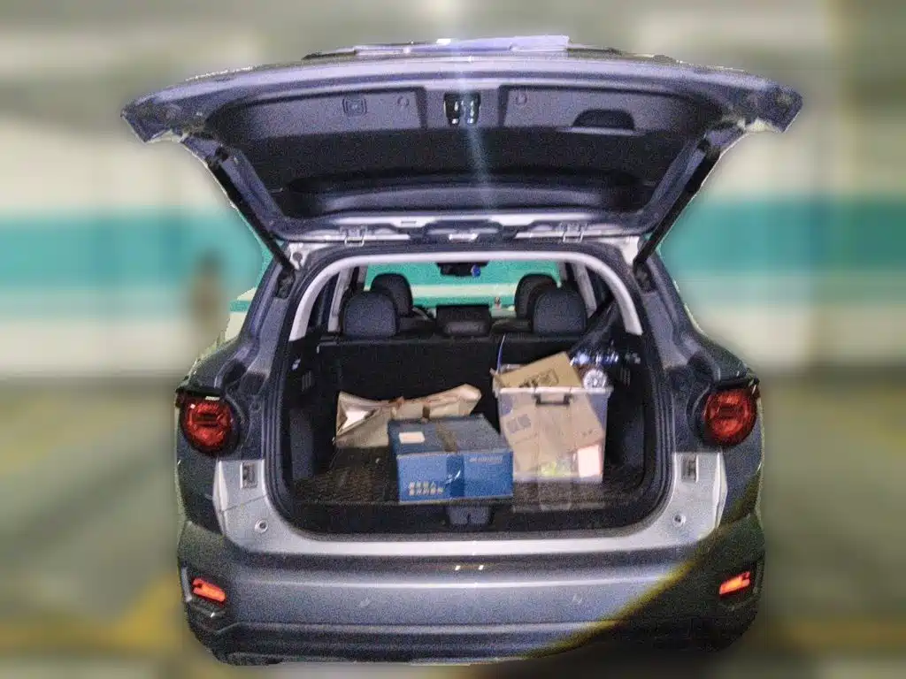 Haval Haval Big Dog PLUS — миниатюра 16