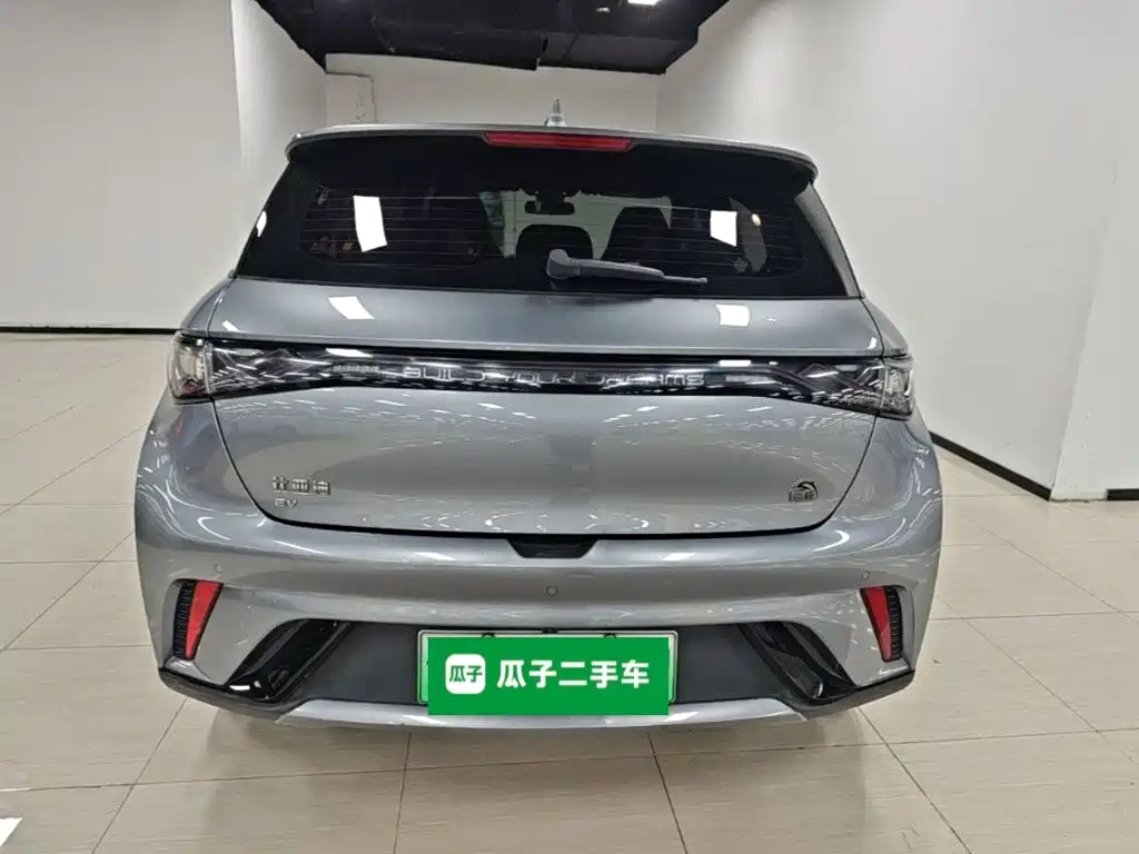 BYD Dolphin — миниатюра 6