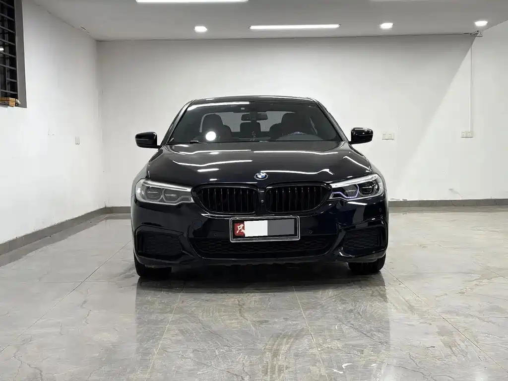 BMW 5 Series 5 2020 530Li Lead M Sport