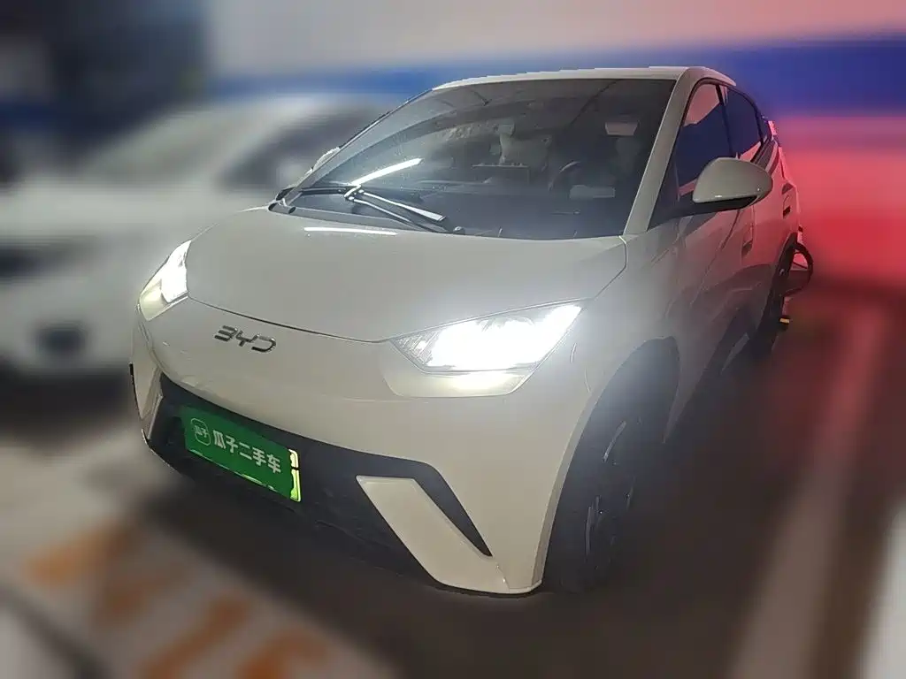 BYD Seagull
