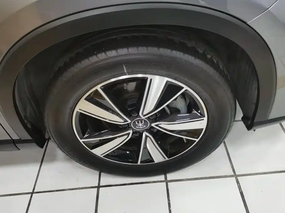 BYD Pro New Energy — миниатюра 6