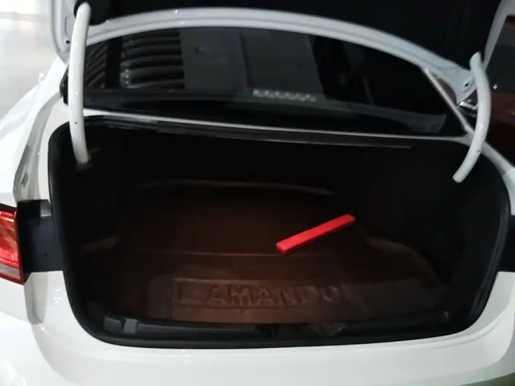 Volkswagen Lamando — миниатюра 19