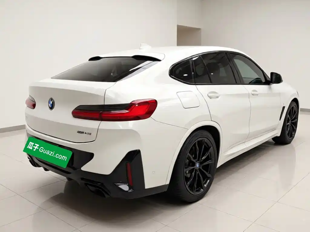 BMW X4 — миниатюра 6
