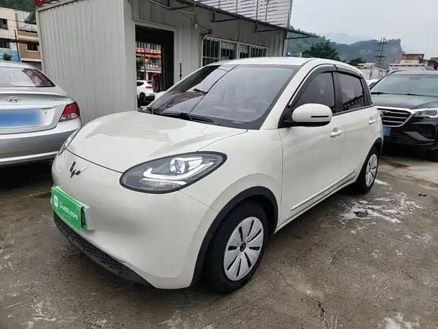 2023 Wuling Motors Binguo