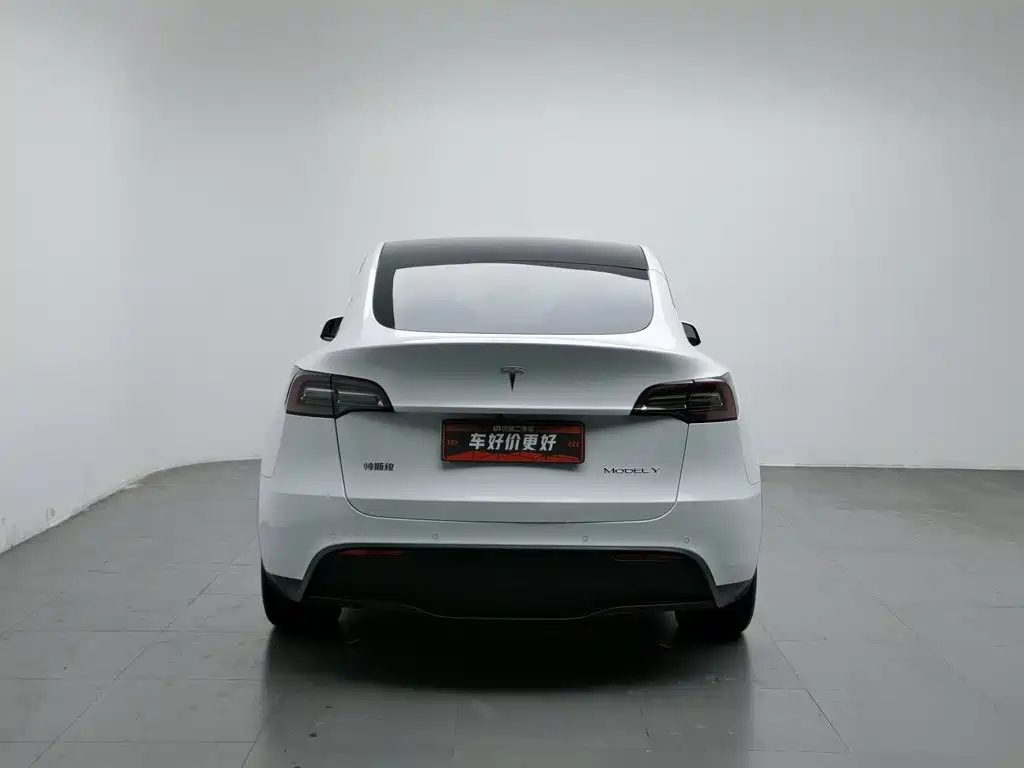 Tesla Model Y — миниатюра 4