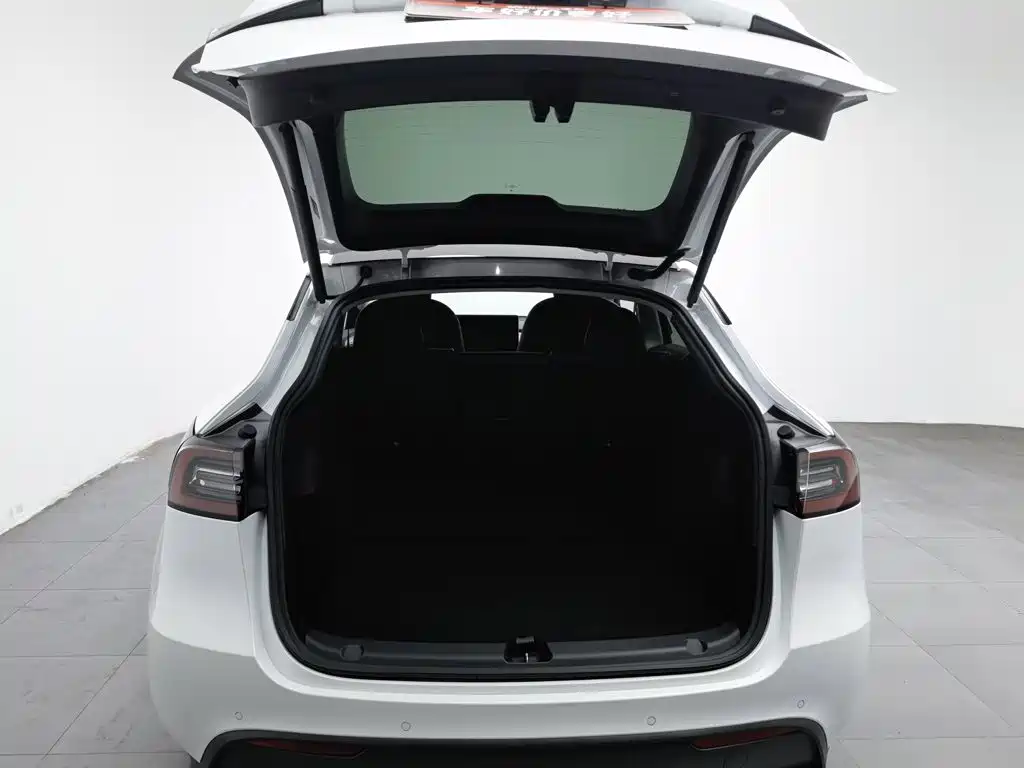 Tesla Model Y — миниатюра 16
