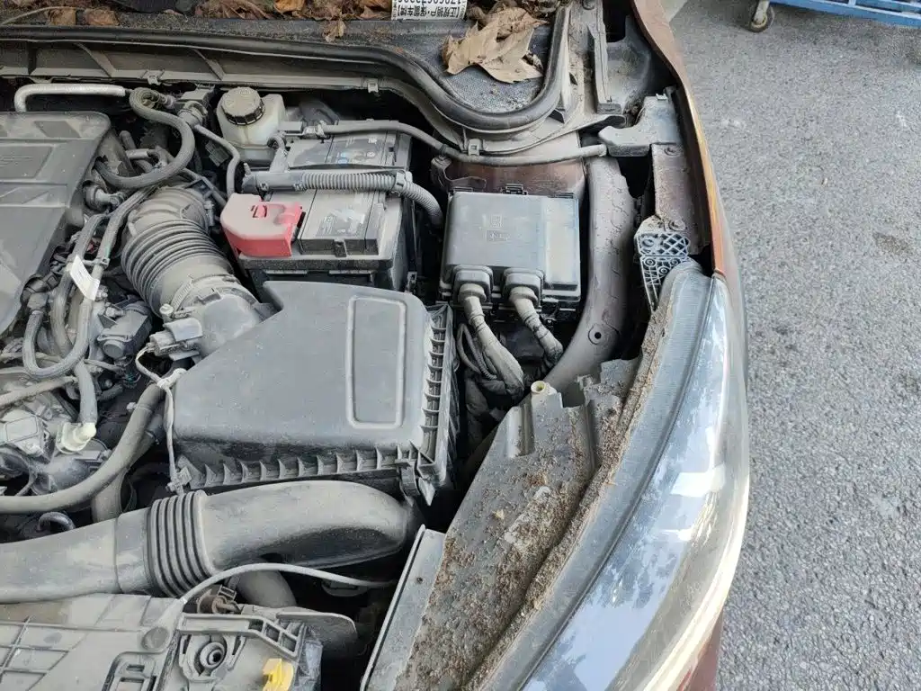 Ford Focus Active — миниатюра 21