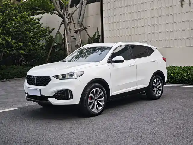 2019 Wey VV6