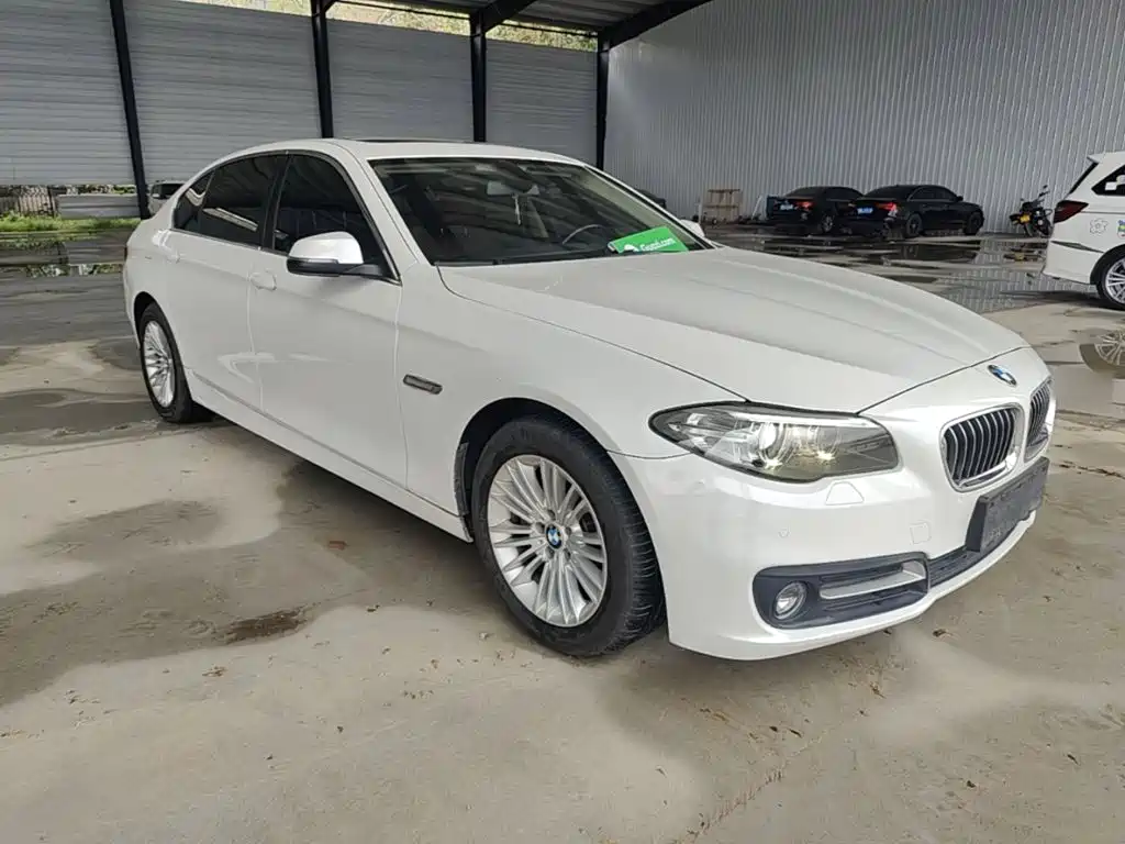 BMW 5 Series 5 2014 525Li Lead