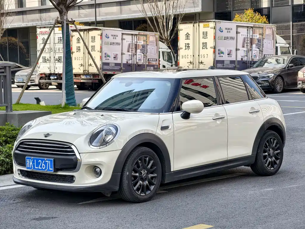 Mini Mini 2021
