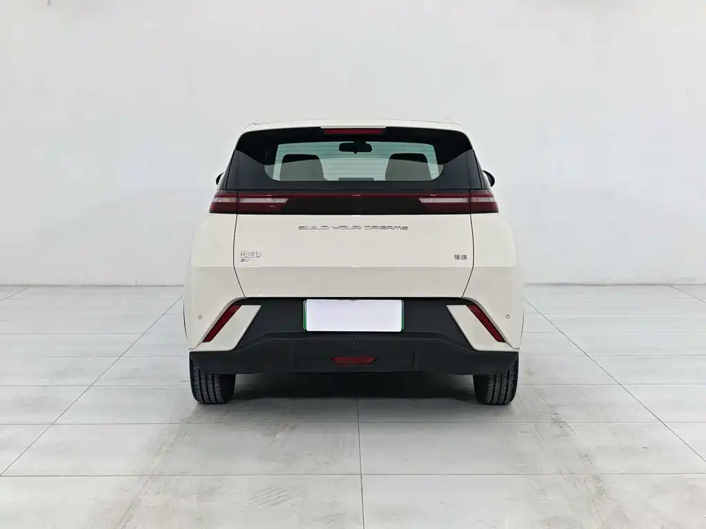 BYD Seagull 2024 305km Freedom