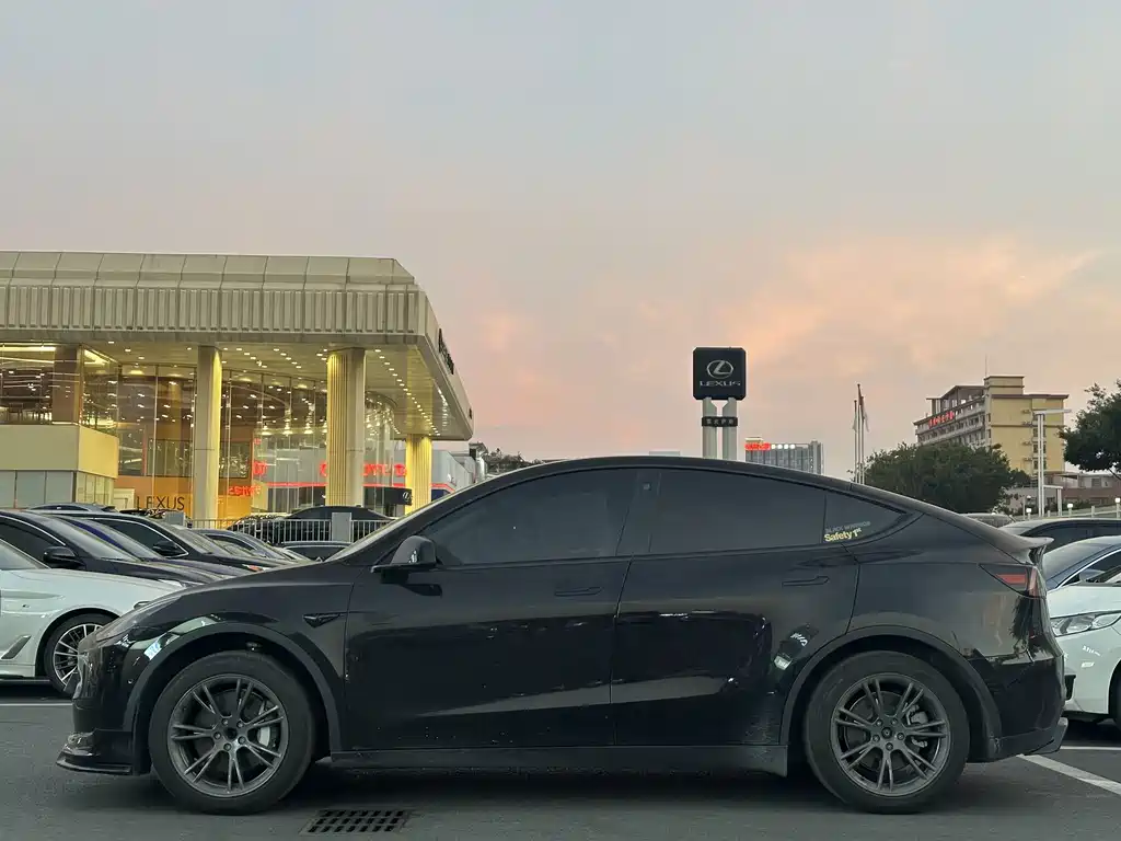 Tesla Model Y — миниатюра 4