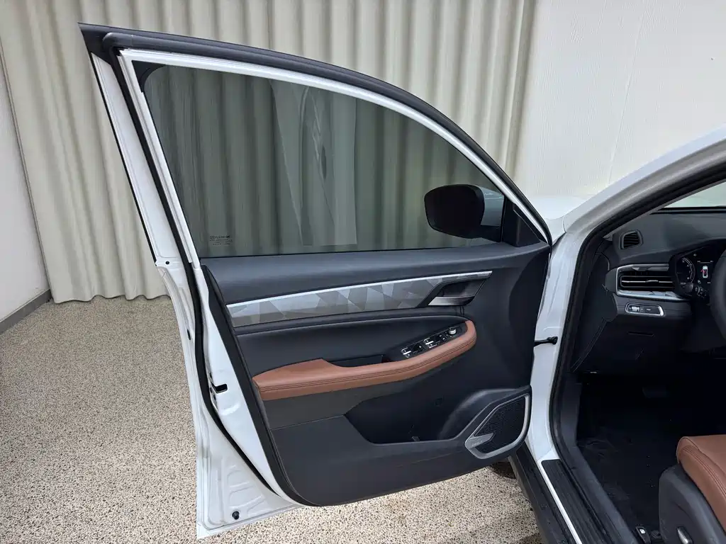 GEELY AUTOMOBILE VISION X6