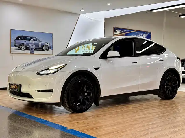 TESLA MODEL Y 2021