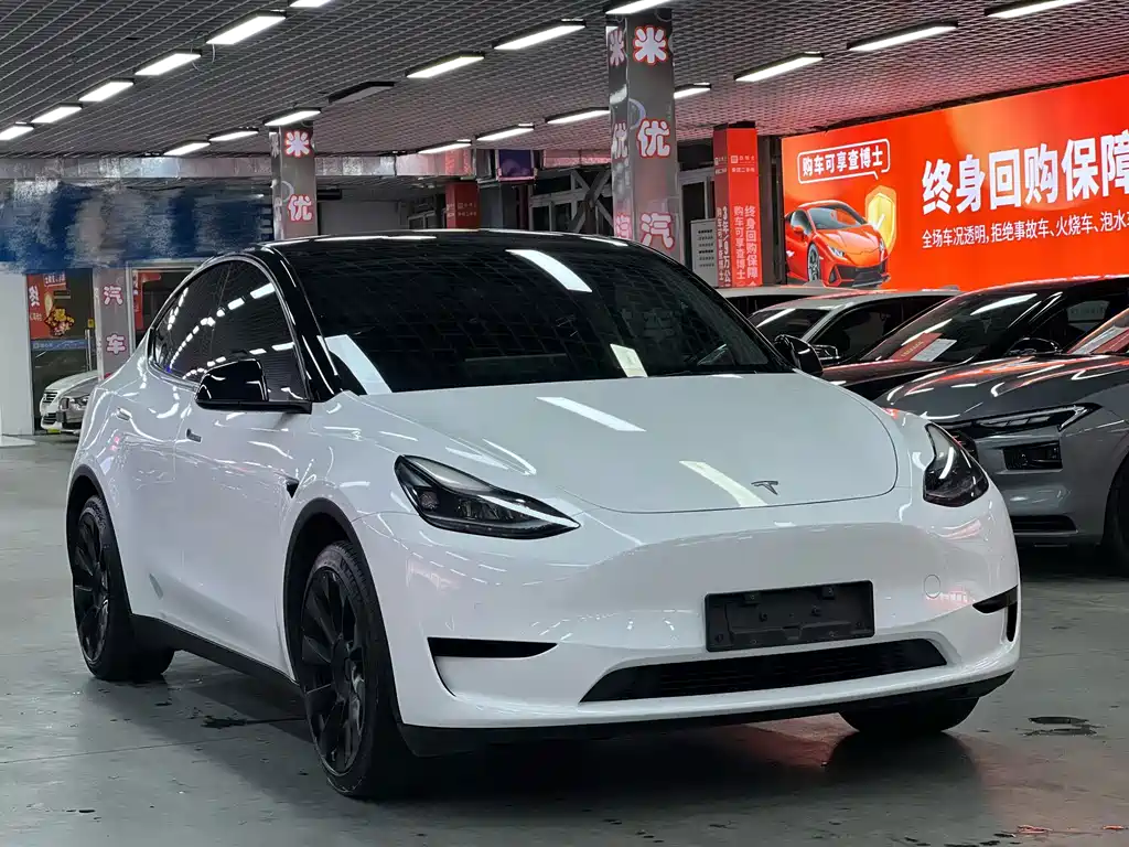 Tesla Model Y — миниатюра 5
