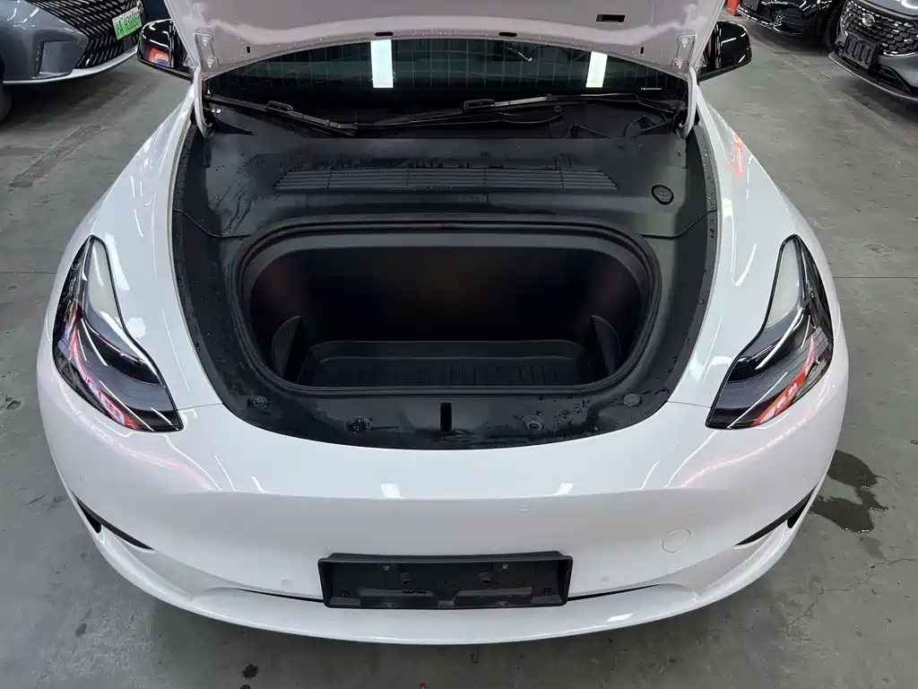 Tesla Model Y — миниатюра 16