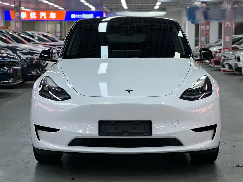 Tesla Model Y — миниатюра 2