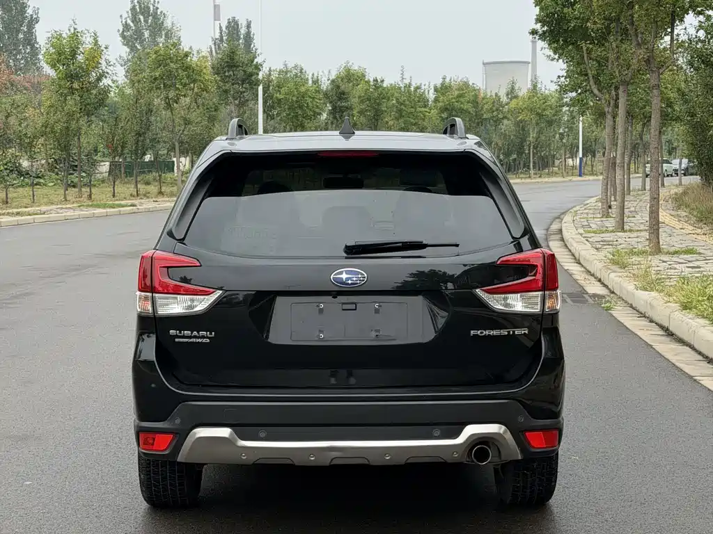 Subaru Forester — миниатюра 5