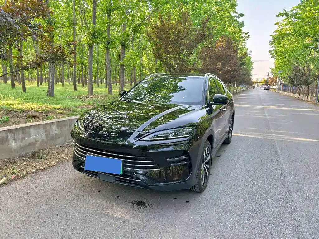 Byd PLUS New Energy 2024