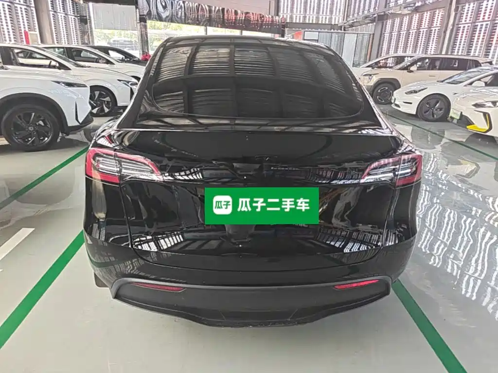 Tesla Model Y — миниатюра 6