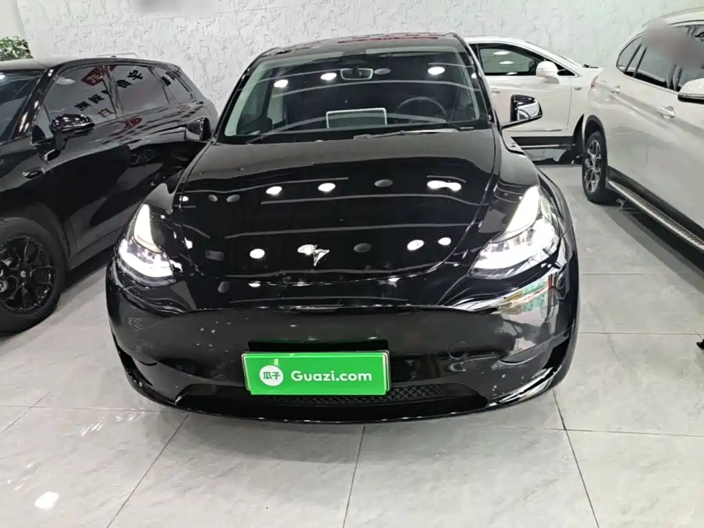 Tesla Model Y — миниатюра 3