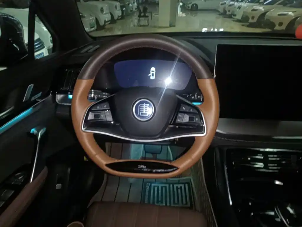 BYD Tang New Energy — миниатюра 11
