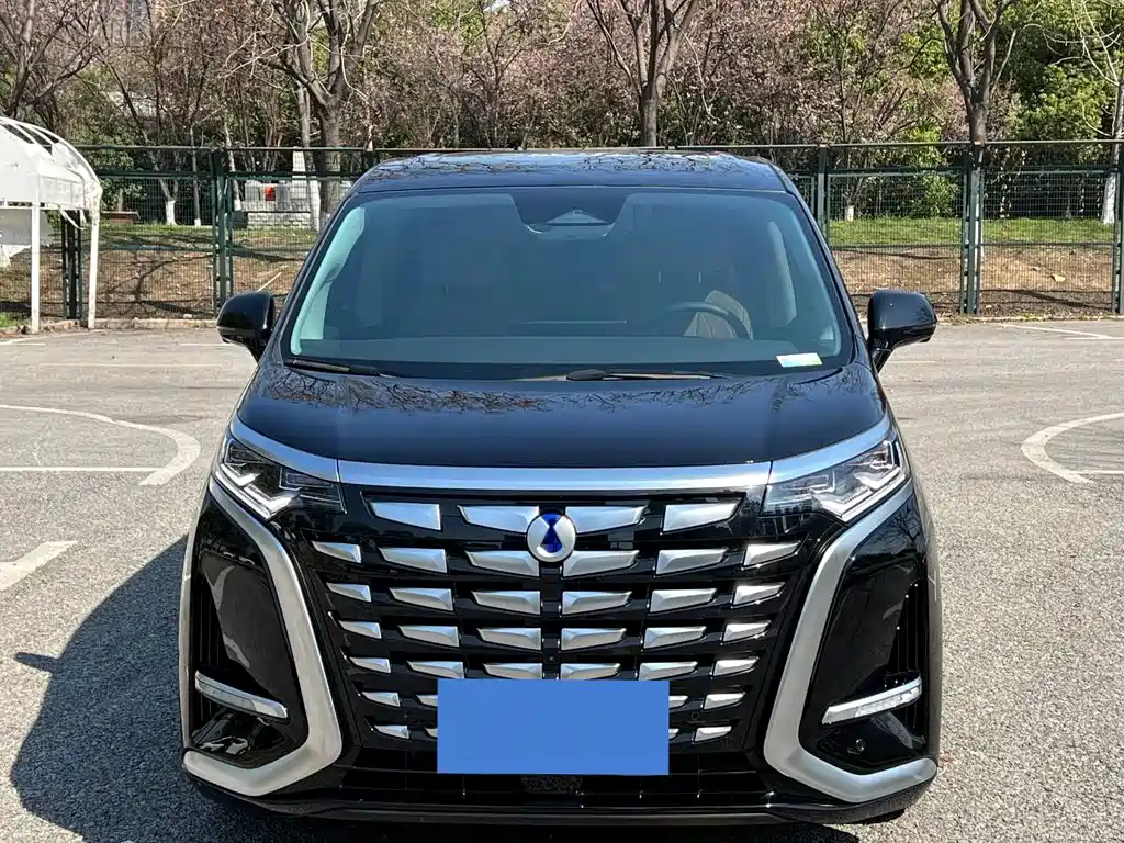 Denza Denza D9 — миниатюра 2