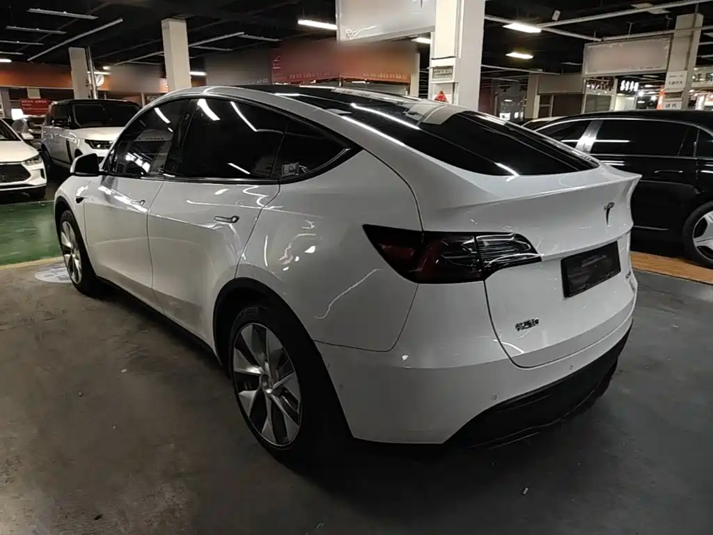 Tesla Model Y — миниатюра 5