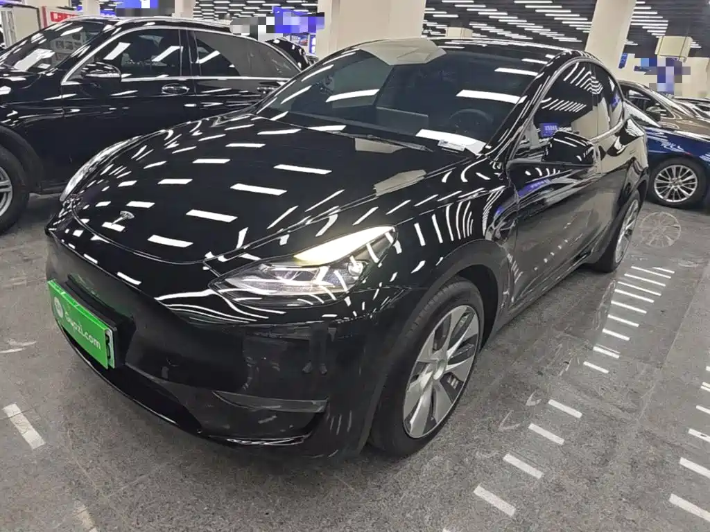 Tesla Model Y — миниатюра 2