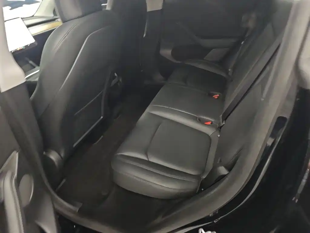 Tesla Model Y — миниатюра 17