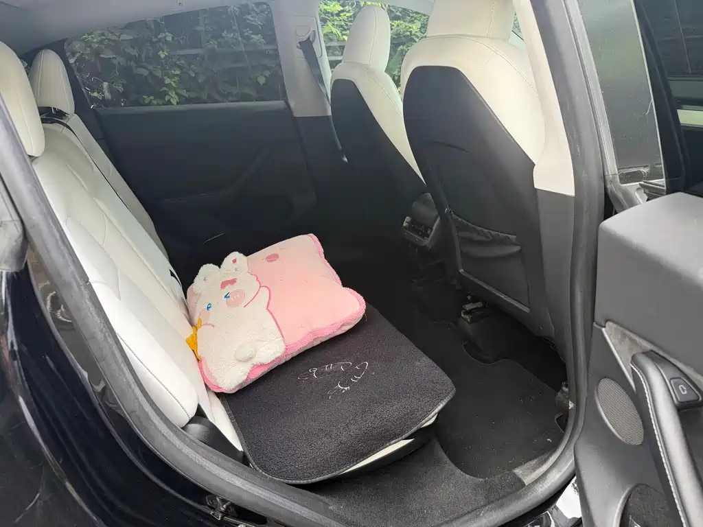 Tesla Model Y — миниатюра 9