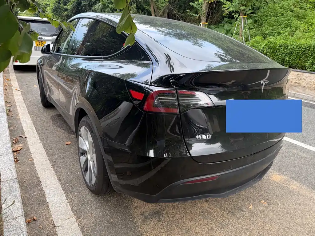Tesla Model Y — миниатюра 14