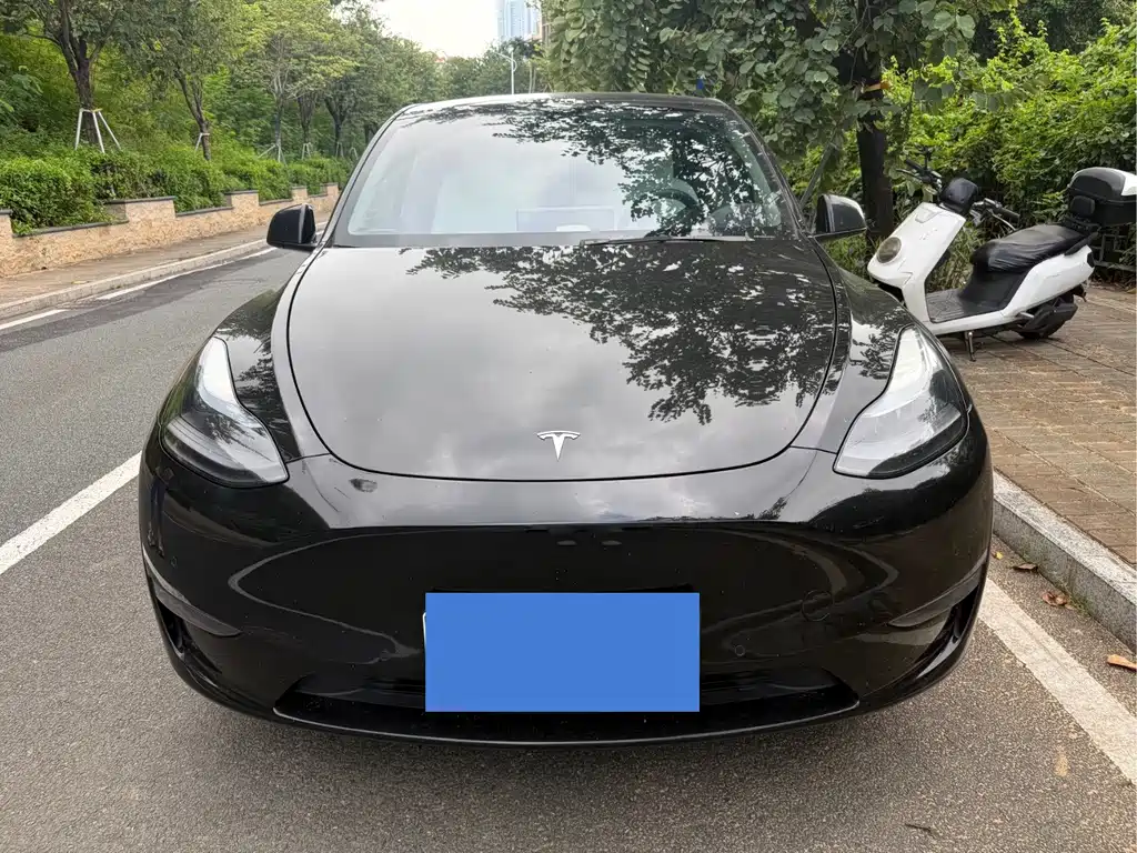 Tesla Model Y — миниатюра 2