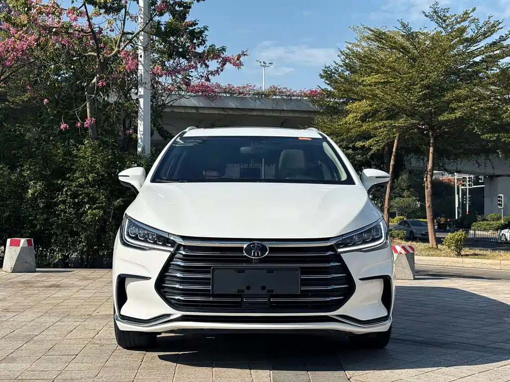 BYD SONGJIANG NEW ENERGY