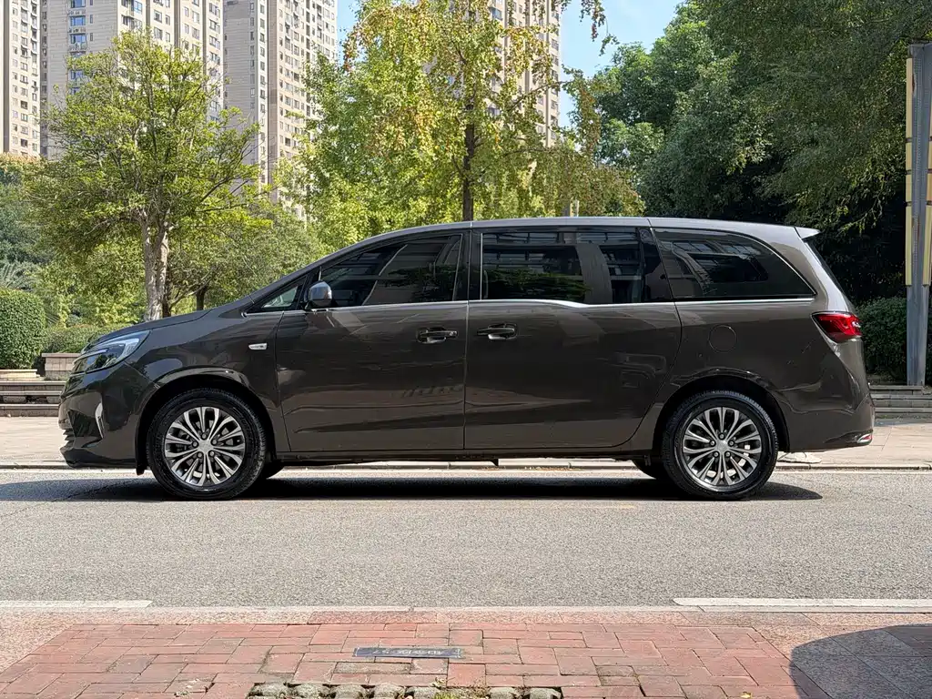 Buick GL8 — миниатюра 3