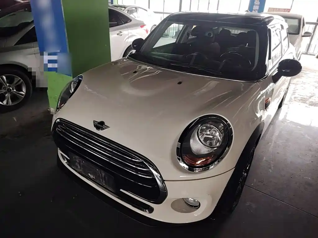 Mini Mini 2017