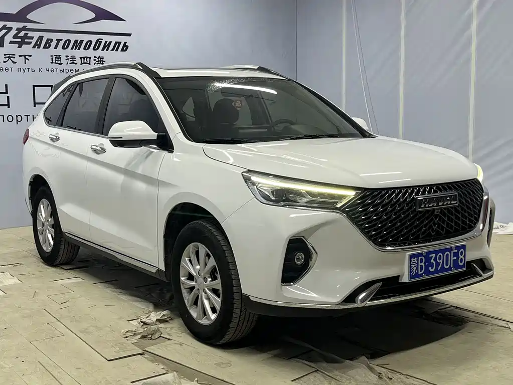 HAVAL M6