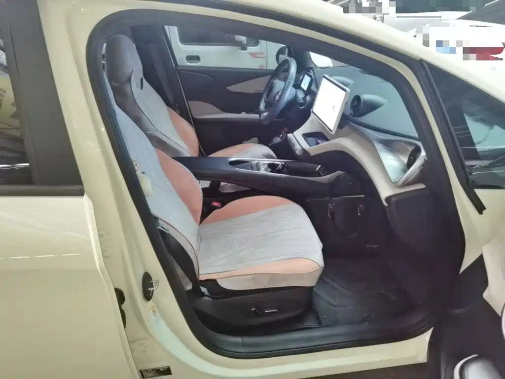 BYD Dolphin — миниатюра 25