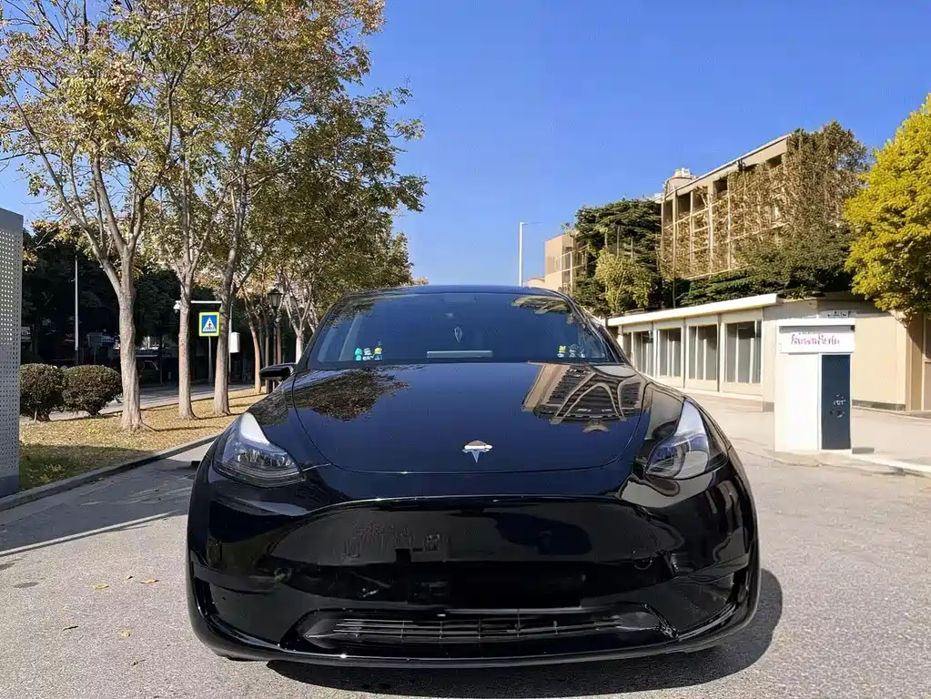 Tesla Model Y — миниатюра 2