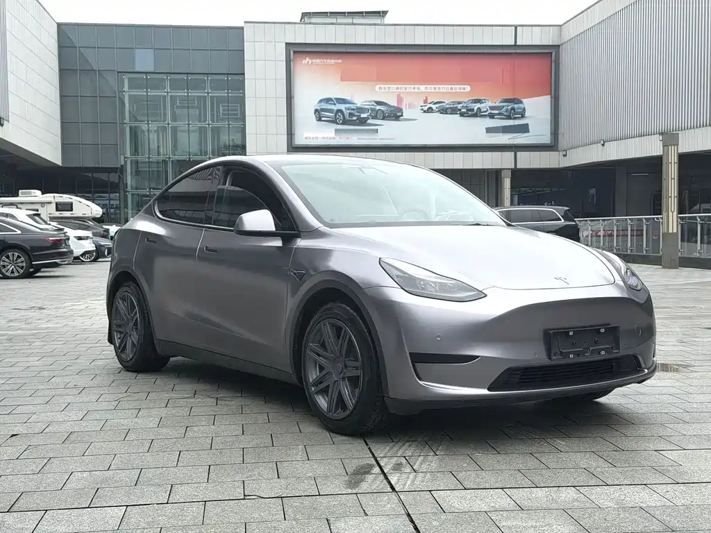 Tesla Model Y — миниатюра 3